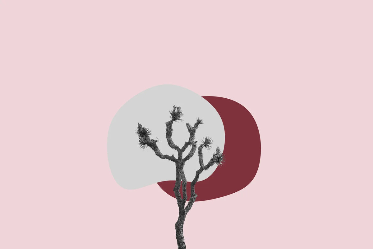 Aesthetic Art No. 177