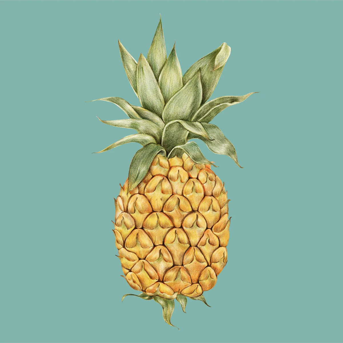 Aesthetic Art No. 411