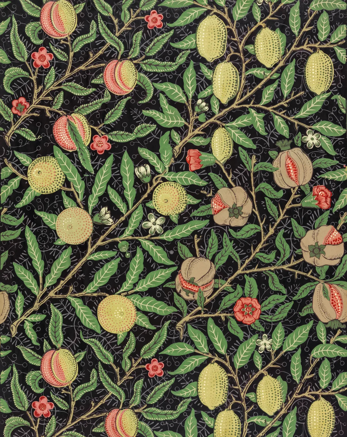 Aesthetic Art No. 422