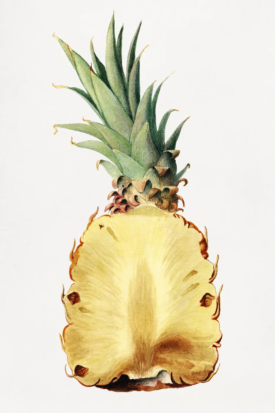 Aesthetic Art No. 533