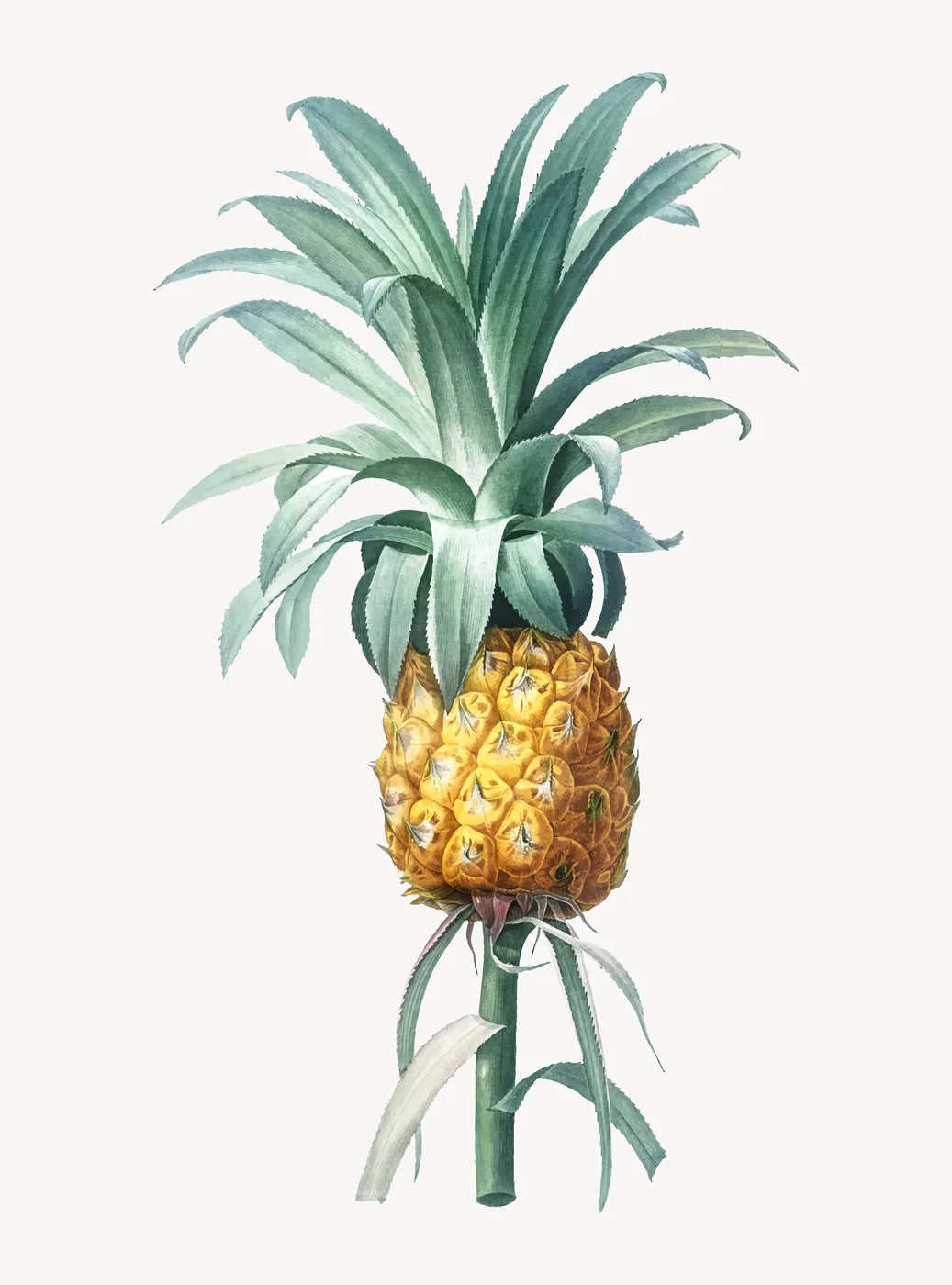 Aesthetic Art No. 566