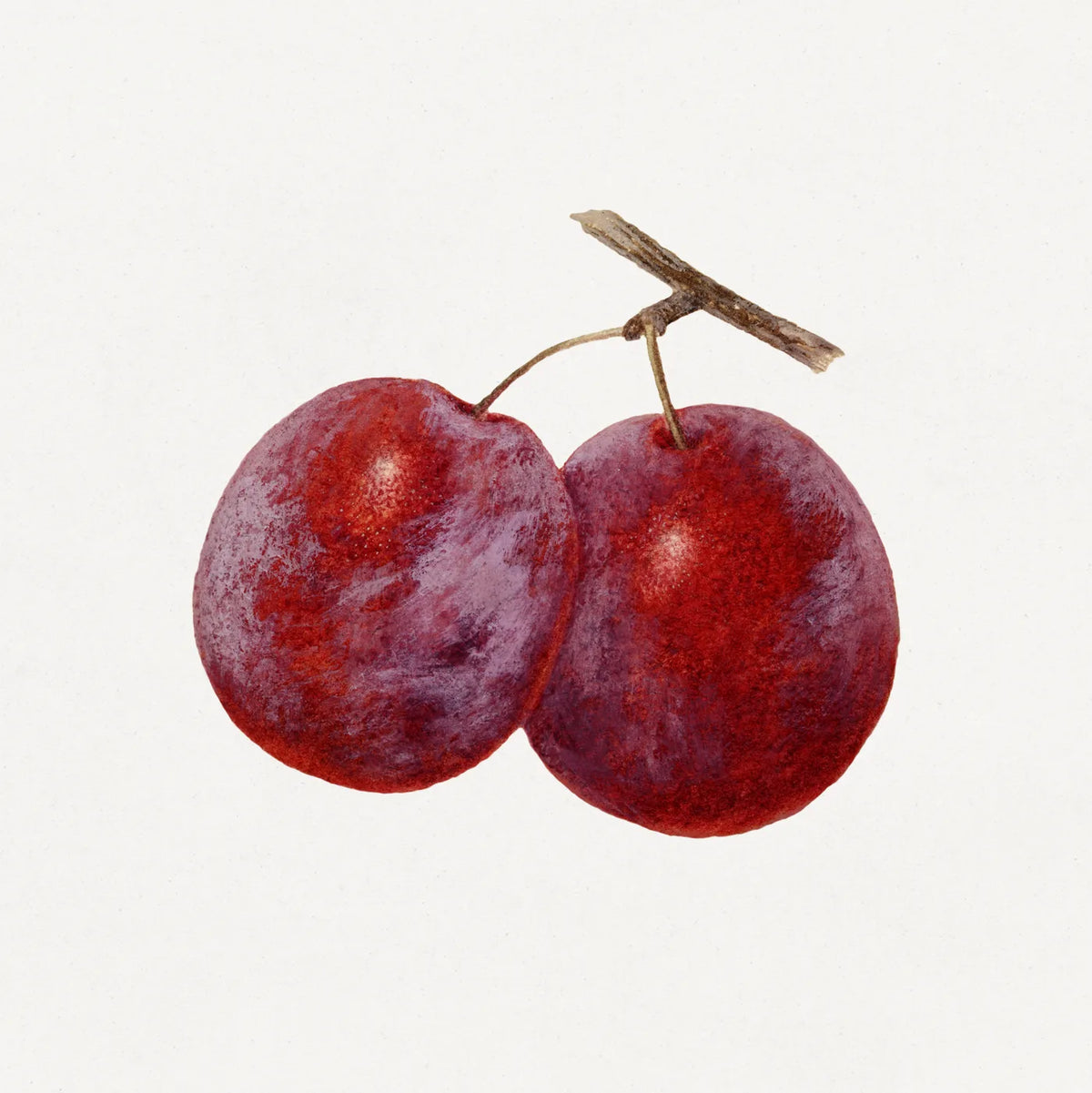 Aesthetic Art No. 574