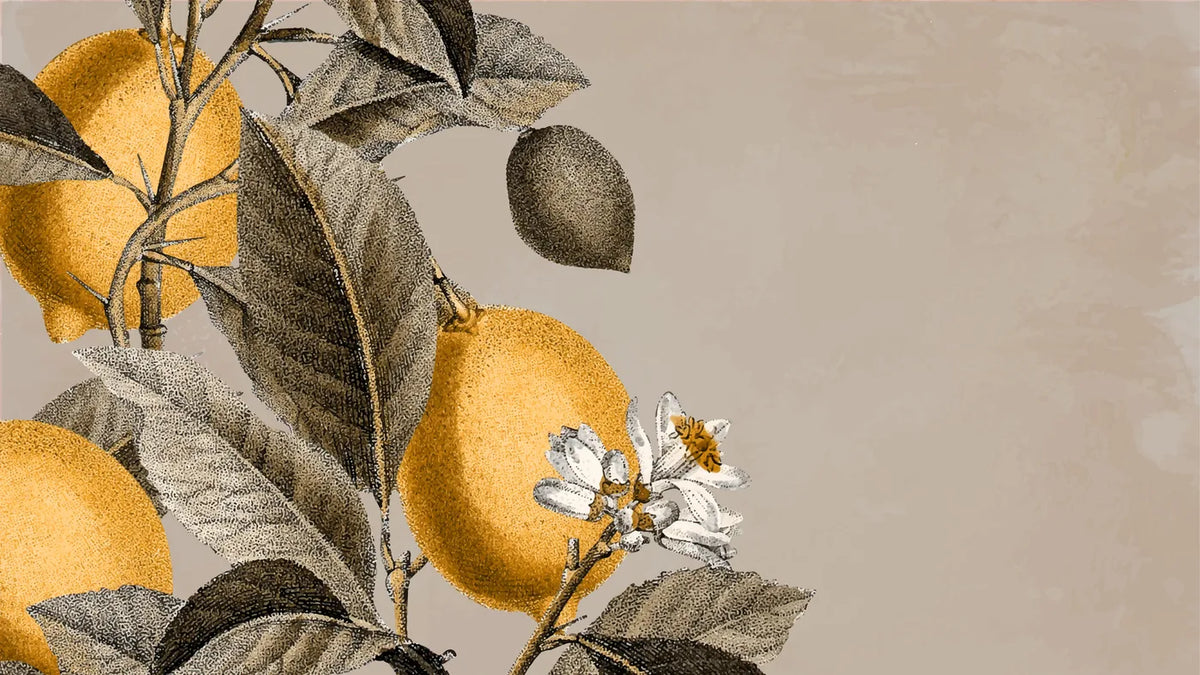 Aesthetic Art No. 575