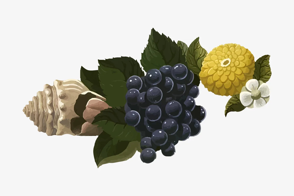 Aesthetic Art No. 581