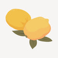 Aesthetic Art No. 584