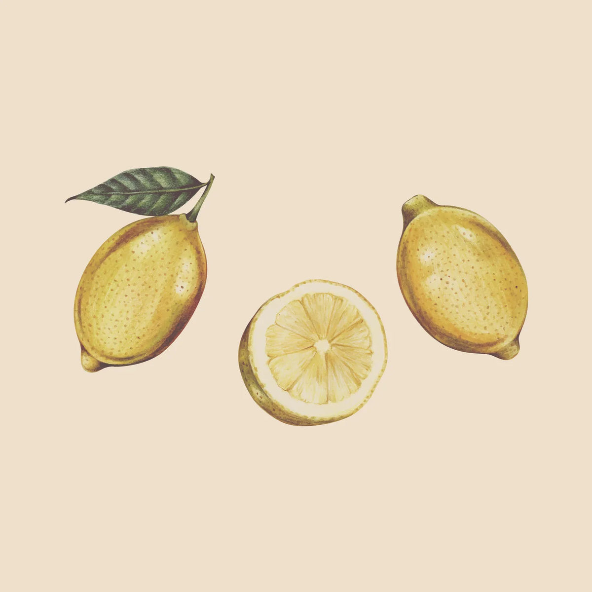 Aesthetic Art No. 681