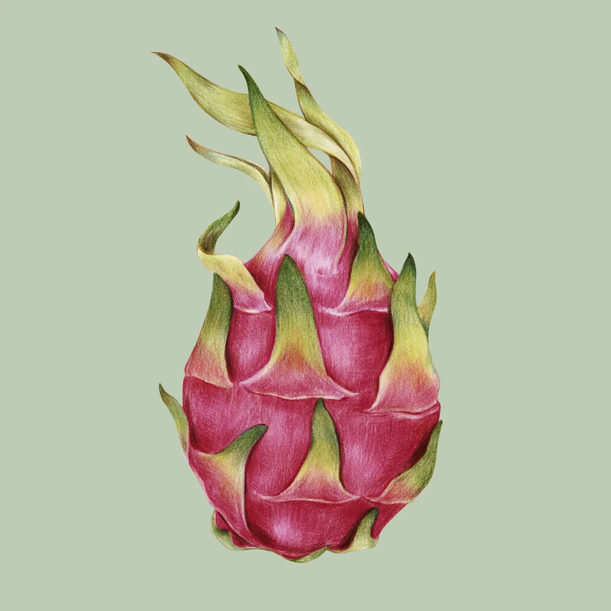 Aesthetic Art No. 682