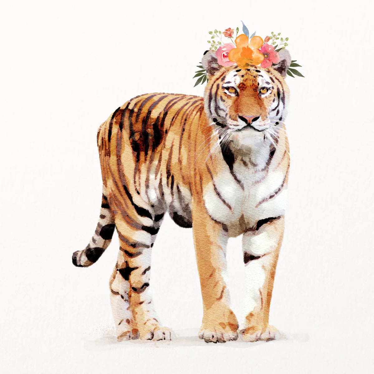 Aesthetic Art No. 817