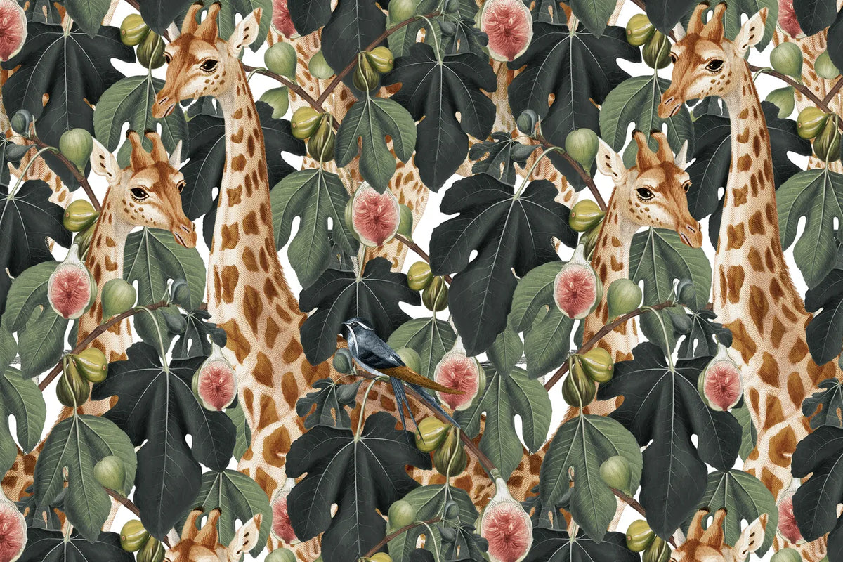 Aesthetic Art No. 848