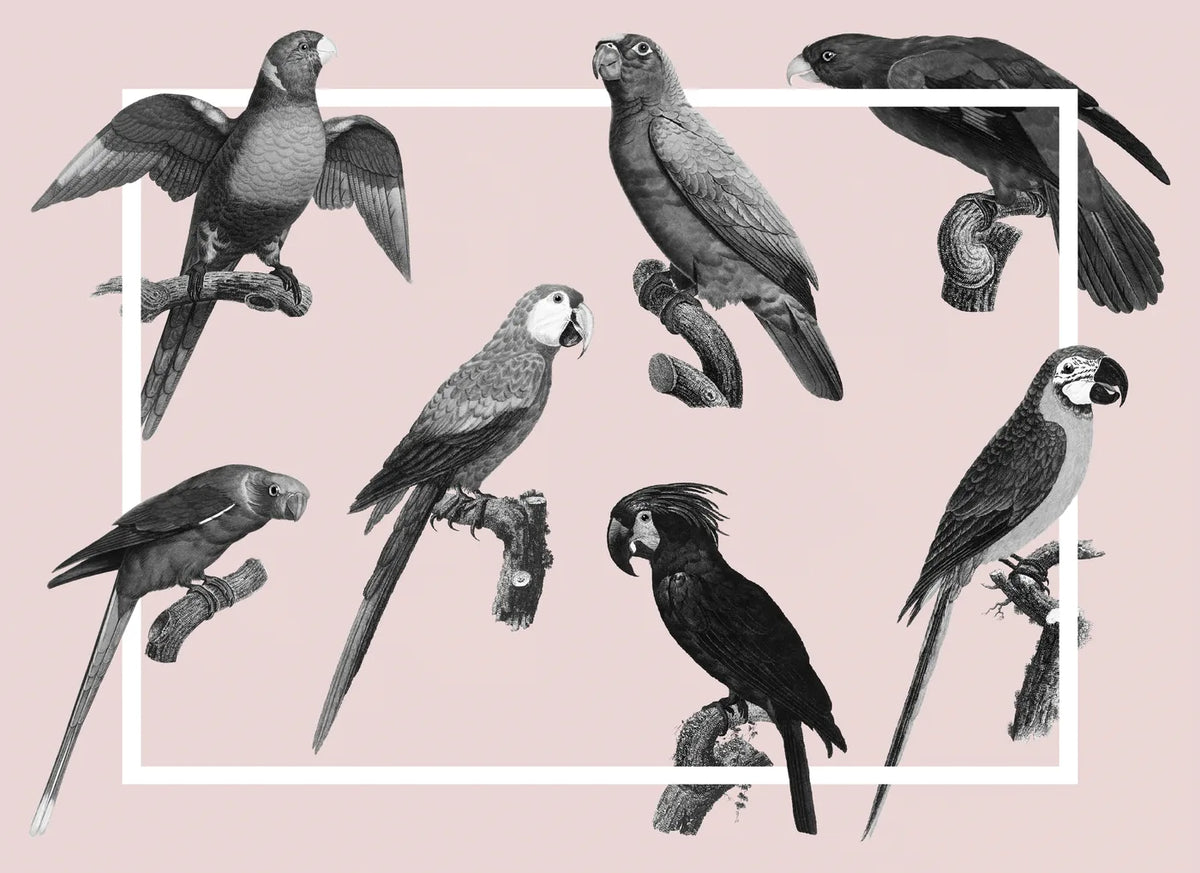 Aesthetic Art No. 858