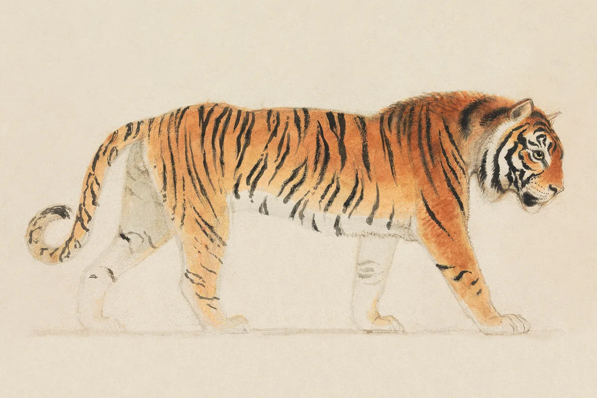 Aesthetic Art No. 912