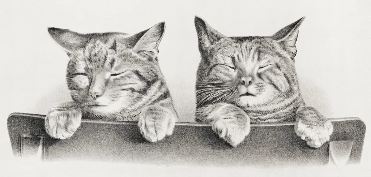 Aesthetic Art No. 945