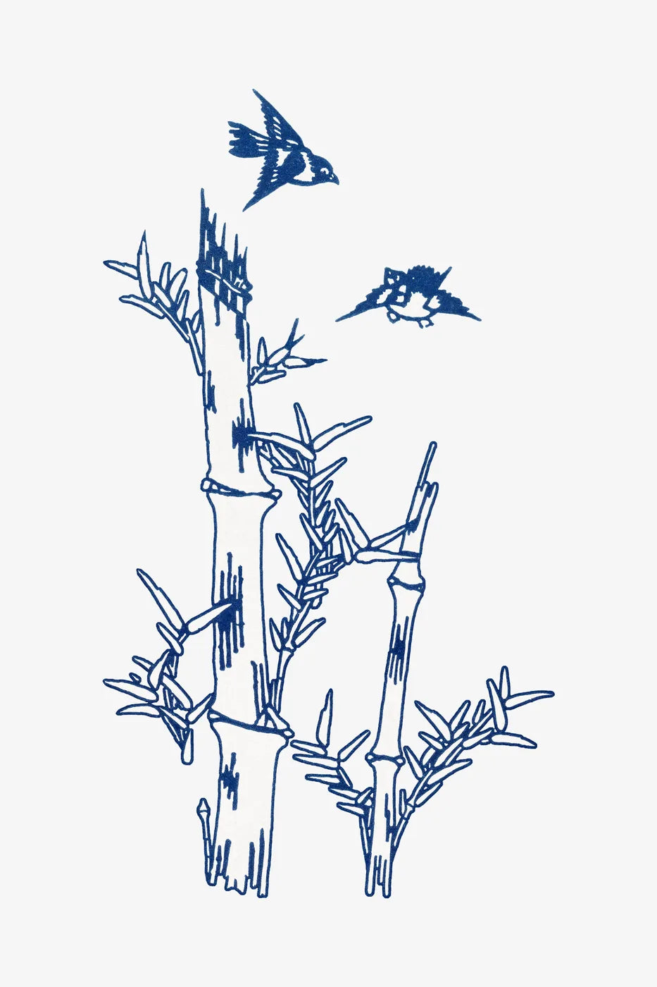 Aesthetic Art No. 1239