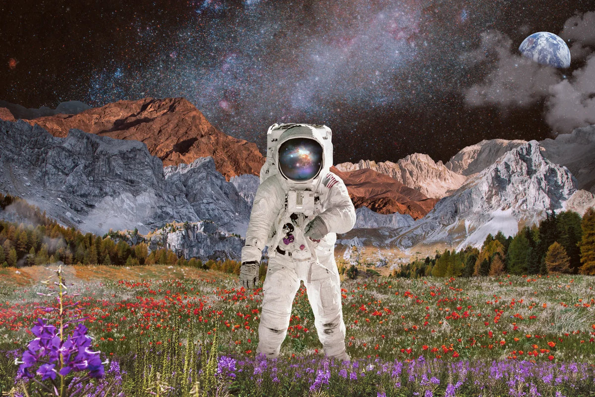 Aesthetic Art No. 4