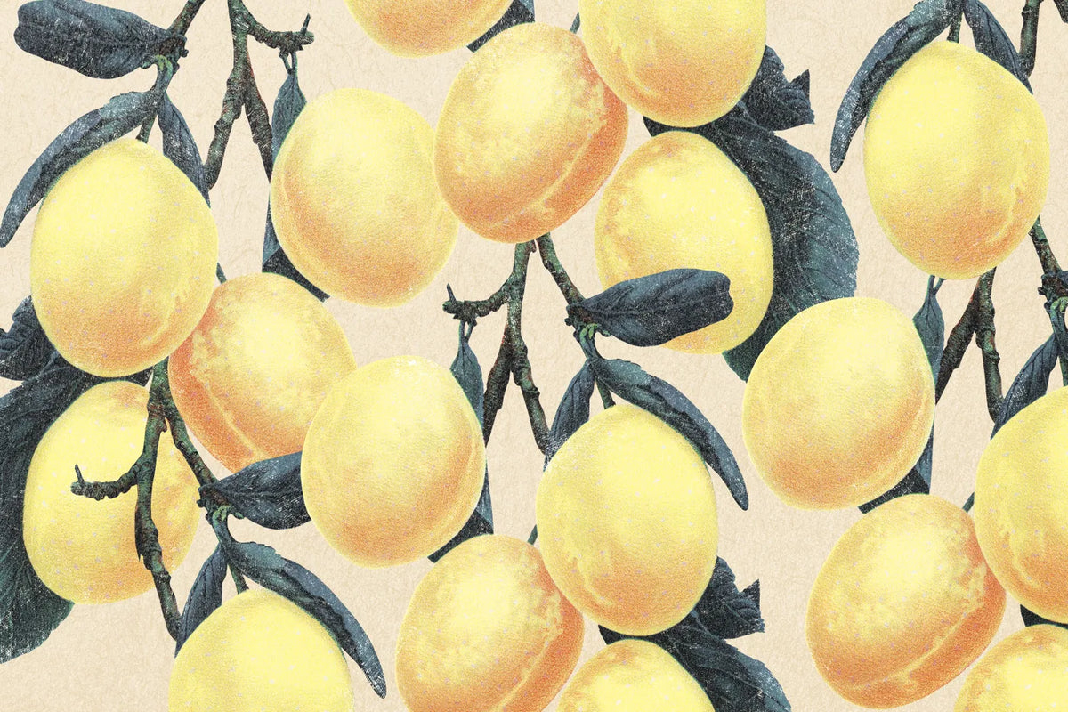 Aesthetic Art No. 32