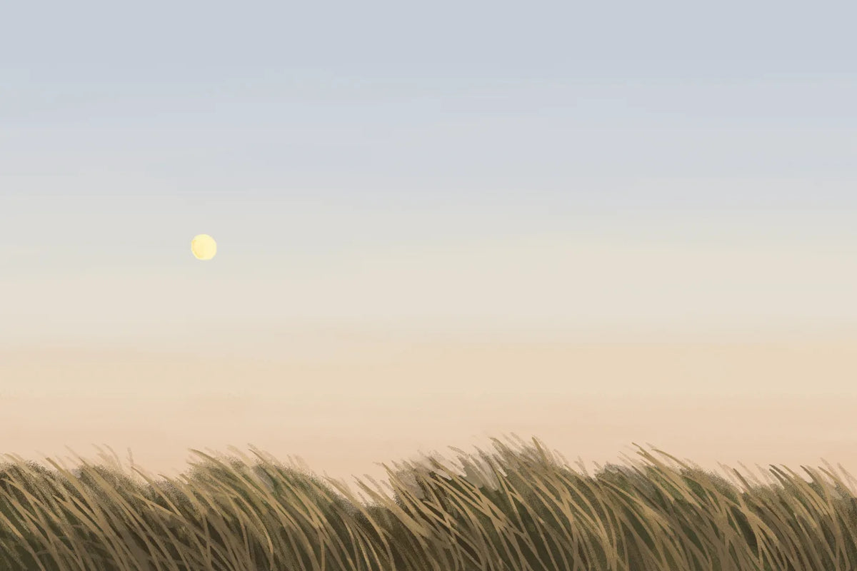 Aesthetic Art No. 41