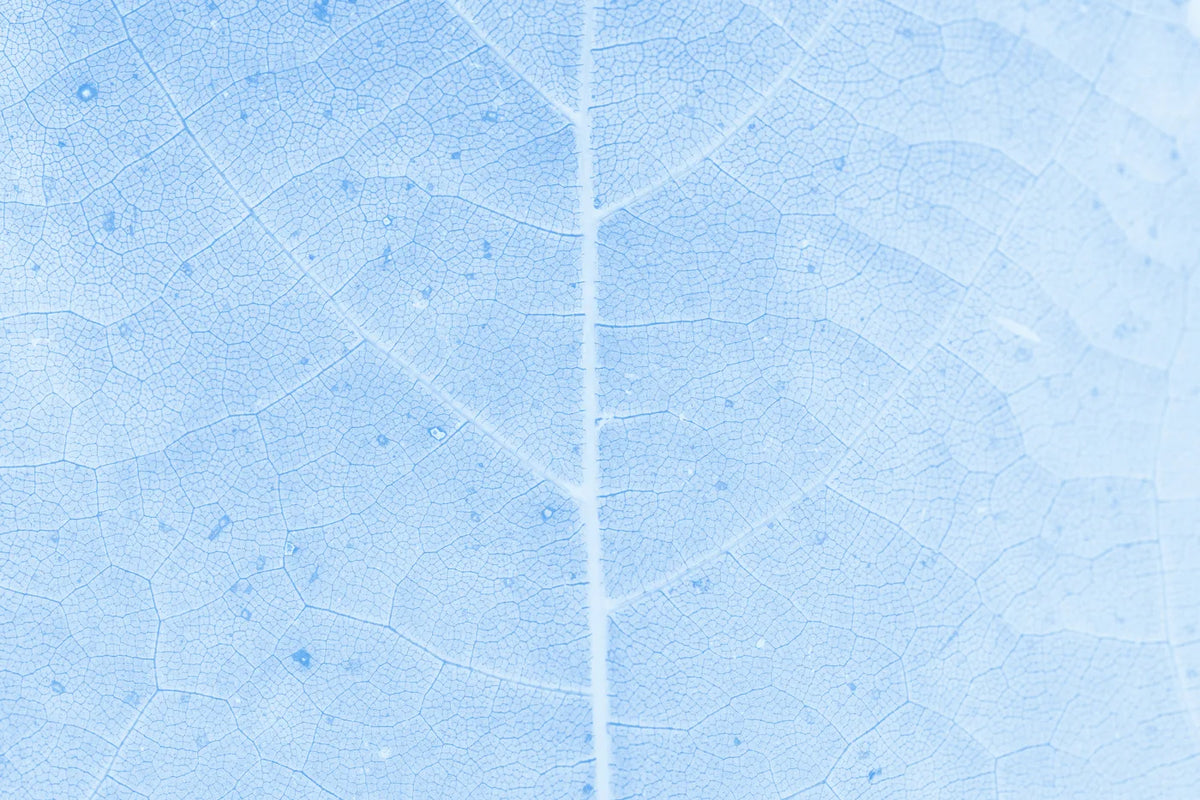 Aesthetic Art No. 45