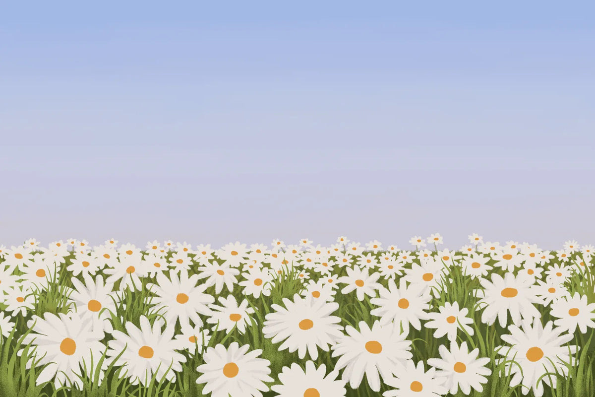 Aesthetic Art No. 57