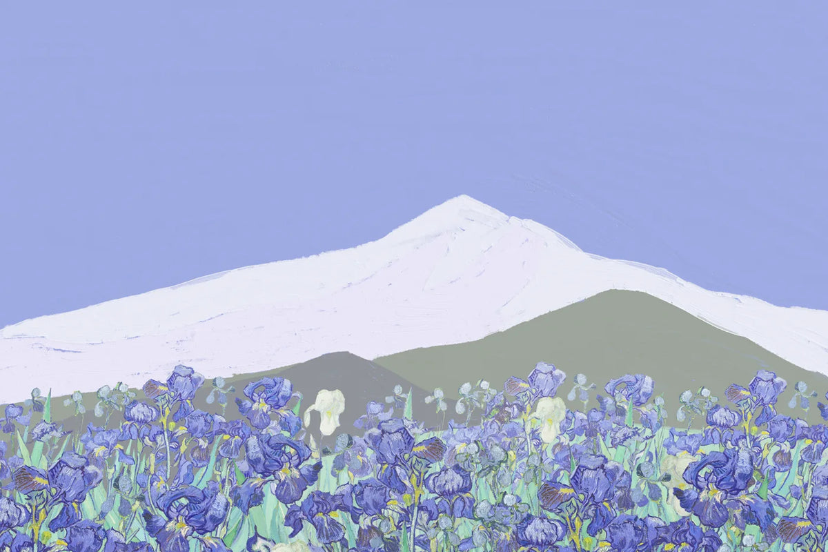 Aesthetic Art No. 65
