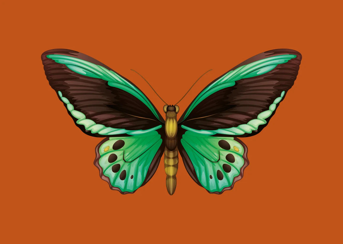 Animal No. 3