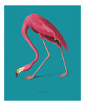Animal No. 16