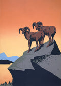 Animal No. 24