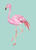 Animal No. 33