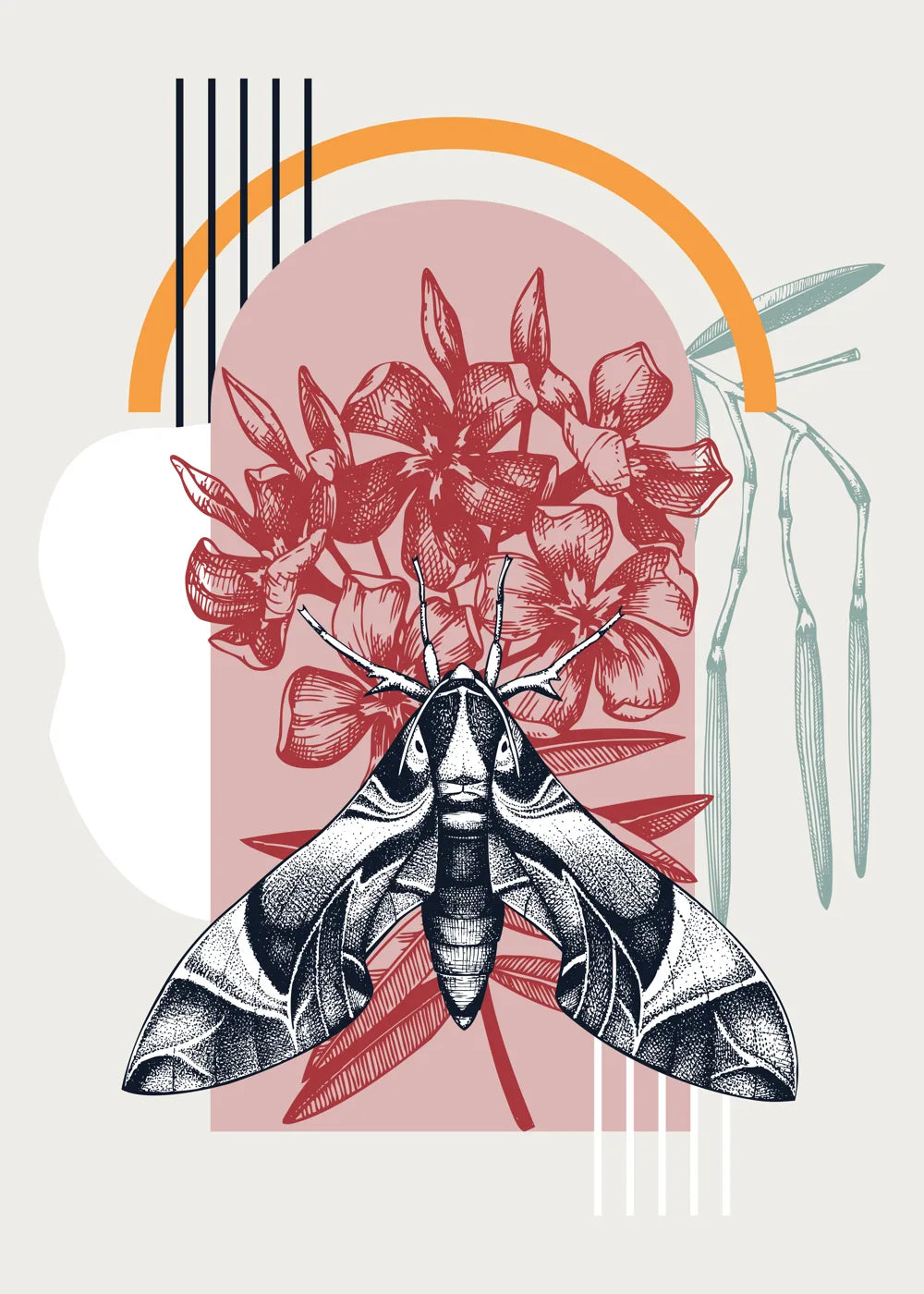 Animal No. 38