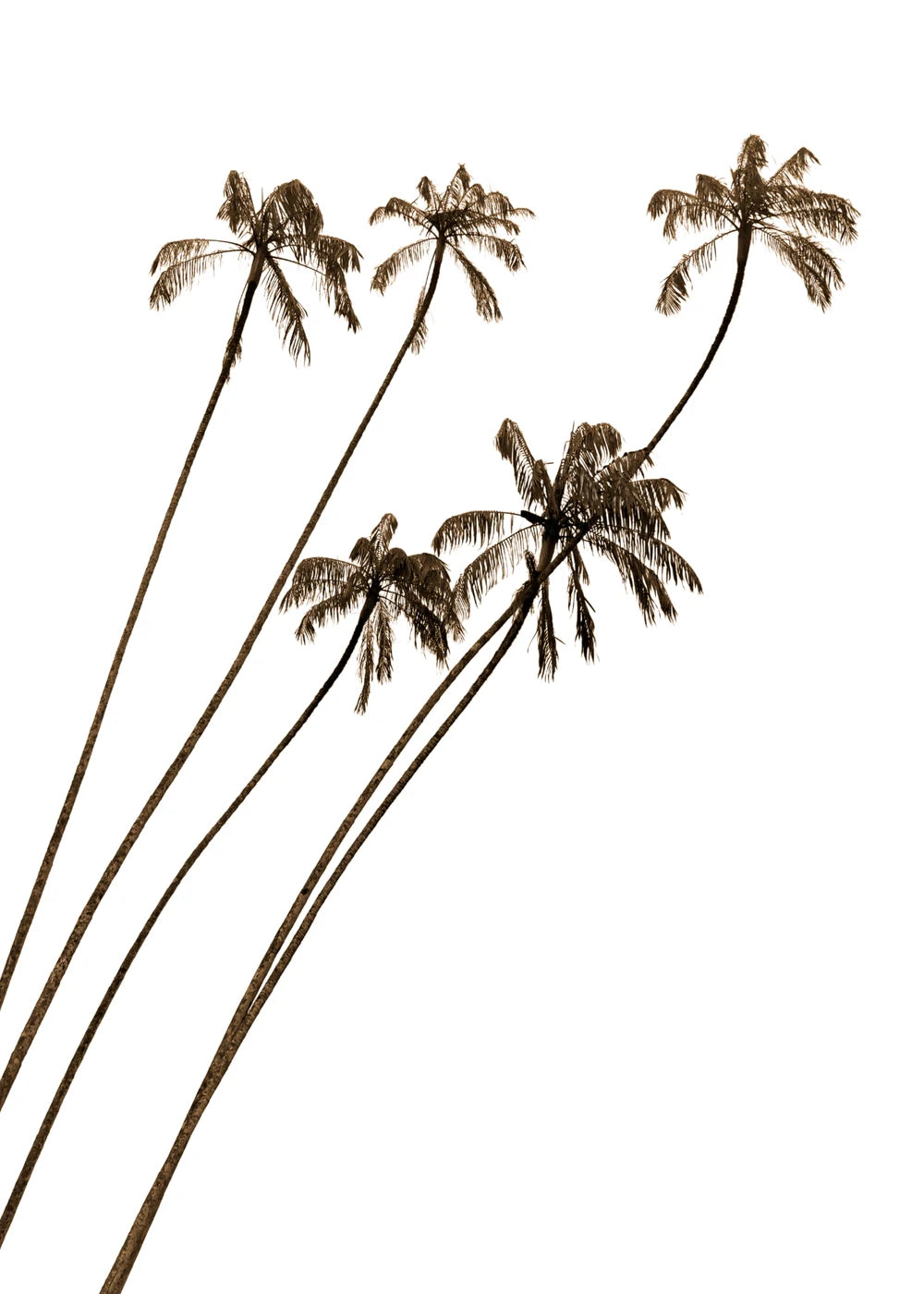 Beach No. 4