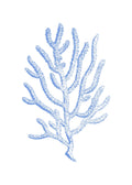 Beach No. 8