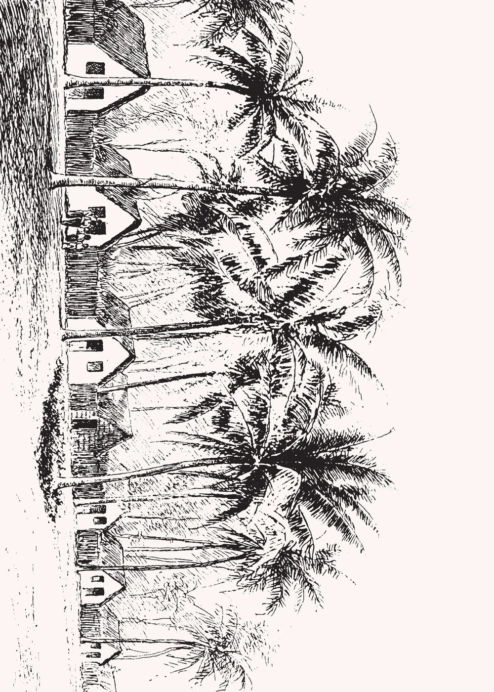 Beach No. 107