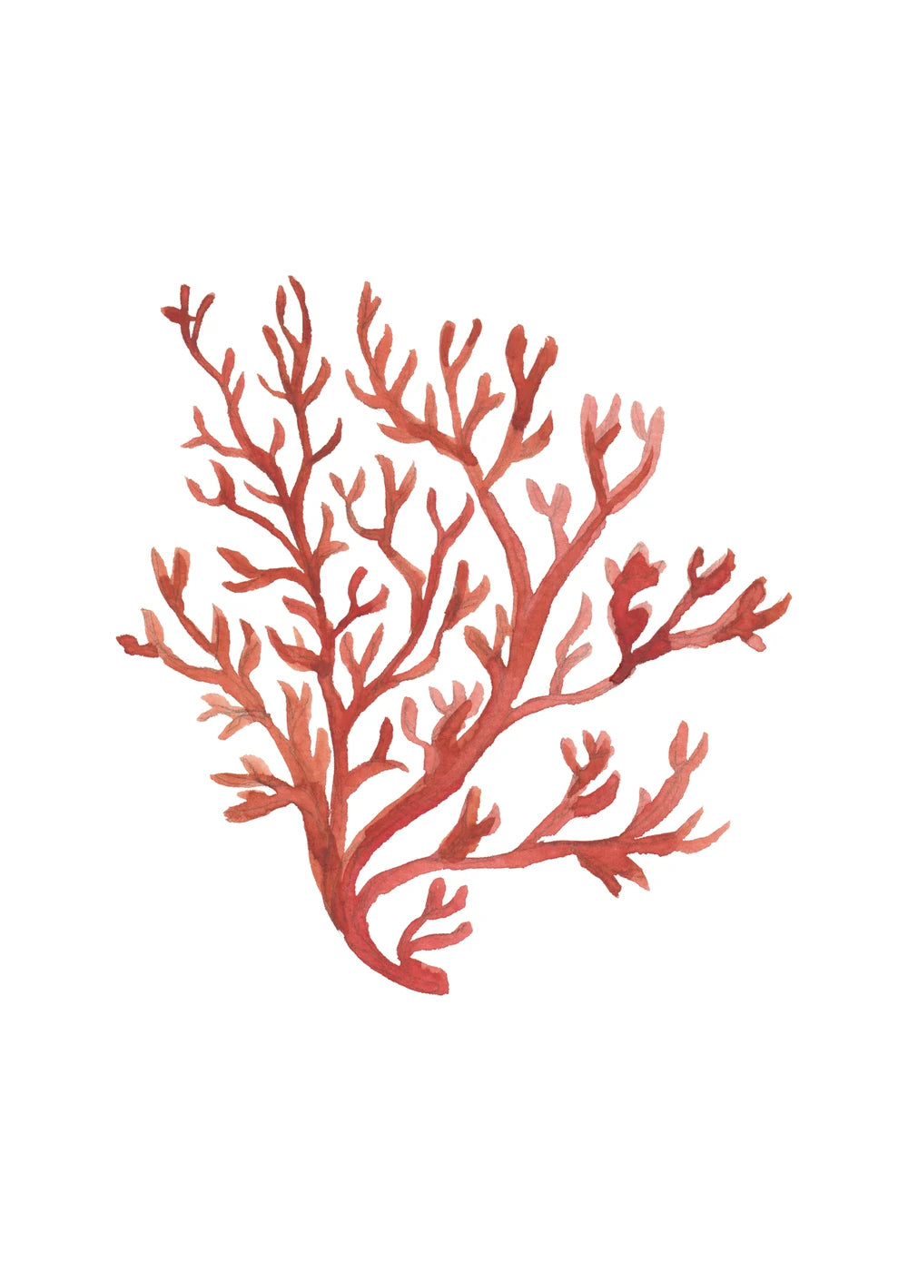 Beach No. 23