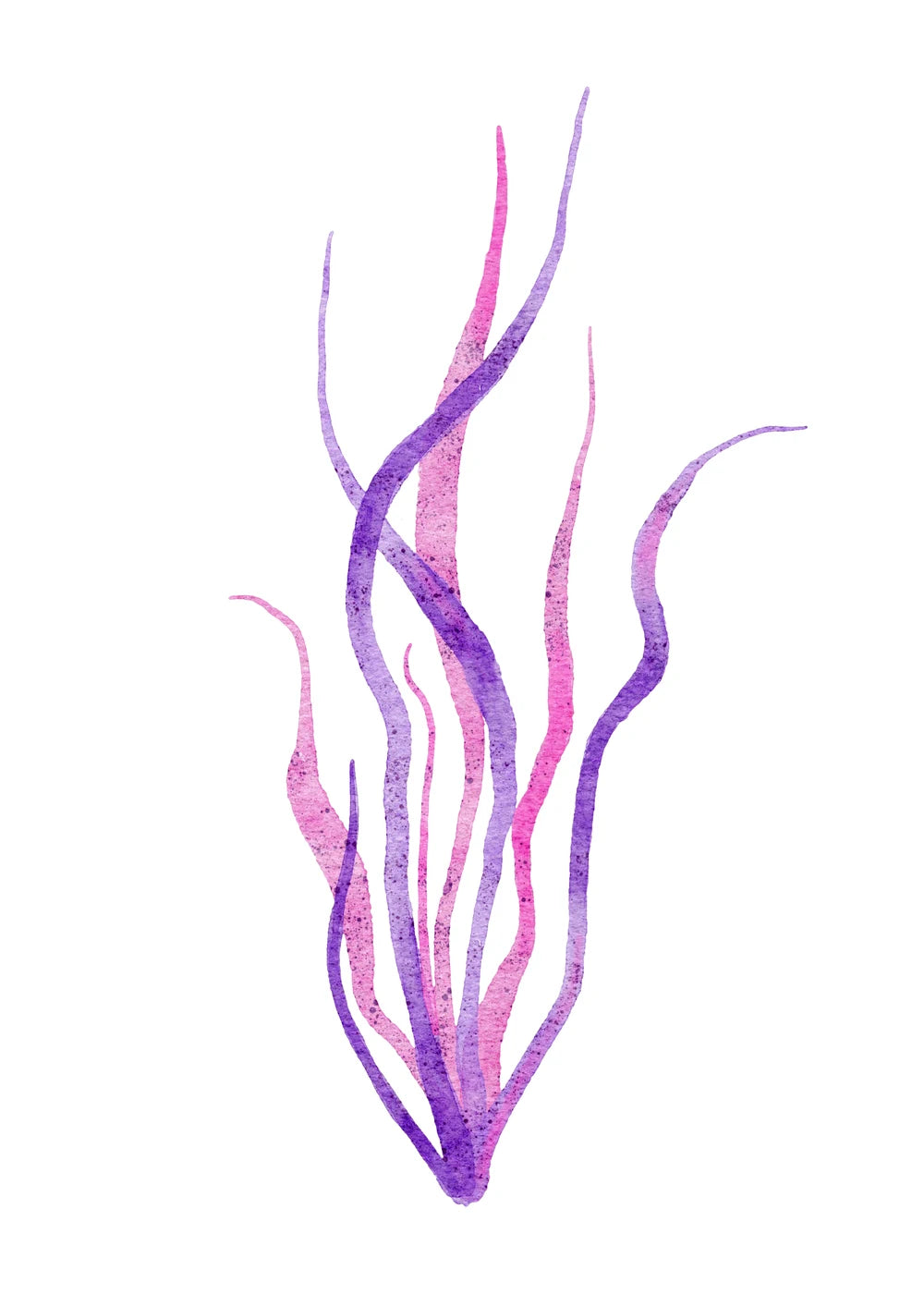 Beach No. 41