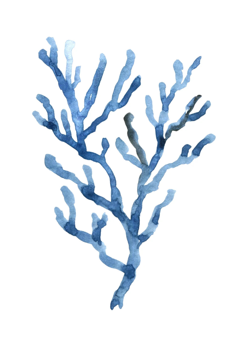 Beach No. 44