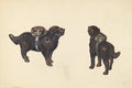 Vintage Drawing No. 12