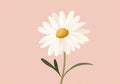 Flower Botanical No. 145