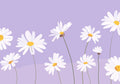 Flower Botanical No. 146