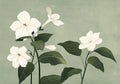 Flower Botanical No. 158