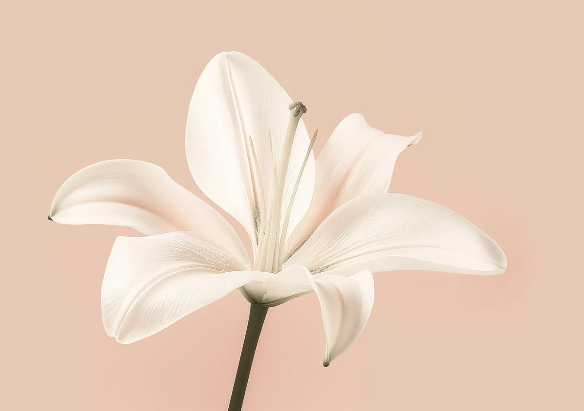 Flower Botanical No. 186