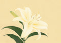 Flower Botanical No. 188