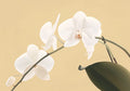 Flower Botanical No. 201