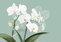 Flower Botanical No. 202