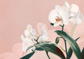 Flower Botanical No. 208