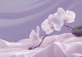 Flower Botanical No. 210