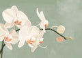 Flower Botanical No. 211