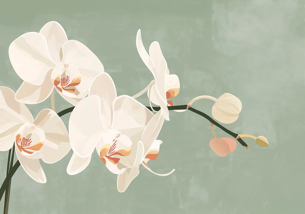 Flower Botanical No. 211