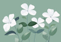 Flower Botanical No. 213