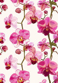 Flower Botanical No. 267