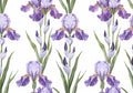 Flower Botanical No. 271