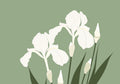 Flower Botanical No. 400